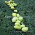 урожай защитная сетка для упаковки оливкового или фруктами